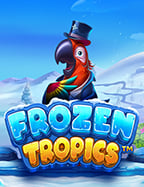 Volcano ทดลองเล่นฟรี ประสบการณ์ที่ไม่ควรพลาด