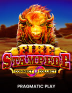 สนุกสุดเหวี่ยงไปกับการสมัคร สมาชิก bacc6666